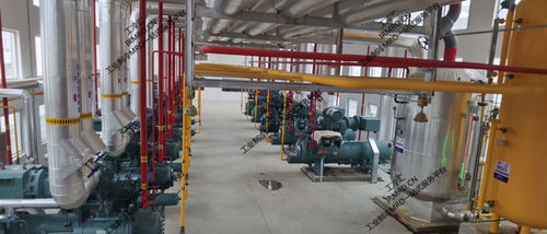 工冷匯紀(jì)實 東北某肉聯(lián)廠約克壓縮機(jī)組節(jié)能升級