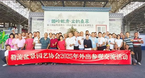 超2萬人打卡！第十四屆粵港澳臺盆景藝術(shù)博覽會中山黃圃完美收官