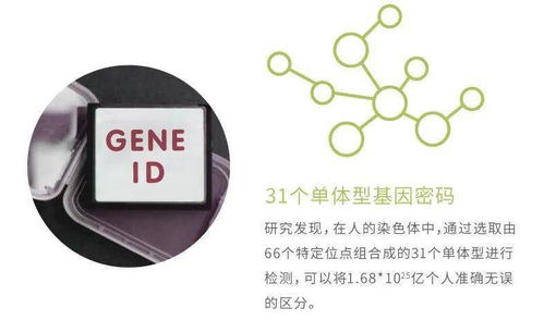 華大基因安馨可基因檢測系列產(chǎn)品全新上市，開啟精準(zhǔn)健康管理新時(shí)代